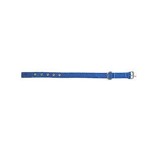 قلاده کد 2 1*EF01/P