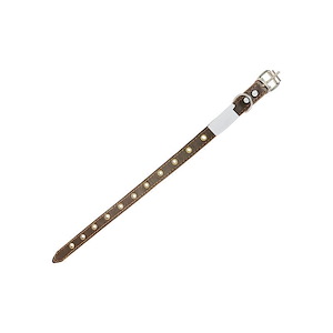 قلاده کد 17 EF01/P