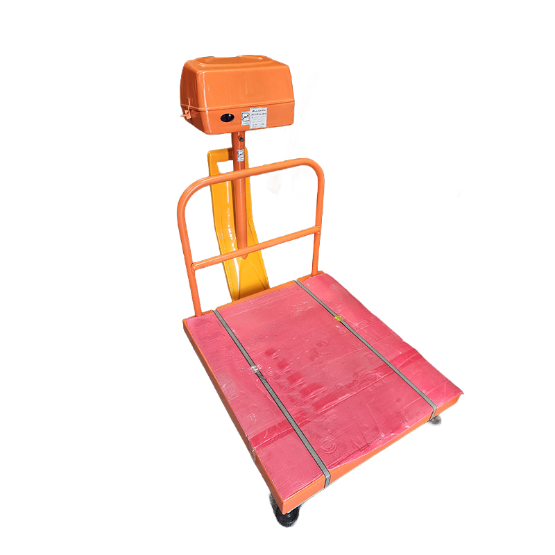 ترازو 600 کیلوگرمی دیجیتالی مدل MB 600 پرینتردار بی نظیر 