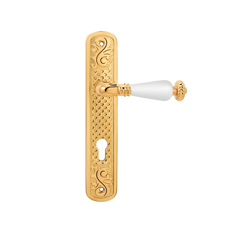 دستگیره پلاک سوییچی مدل لئو Leo اچ تی ان پرایم HTN PRIME-01