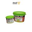 چسب کاشی پلیمری بتن TS-P پاس PAS-02